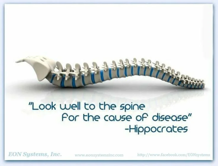 Photo of spine causing disease